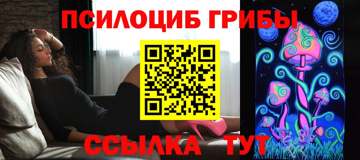 Псилоцибиновые грибы Psilocybe  Вход с VPN  Североуральск 